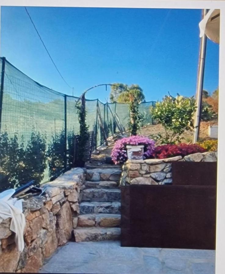 Rifugio Monte Pino Villa Telti Bagian luar foto