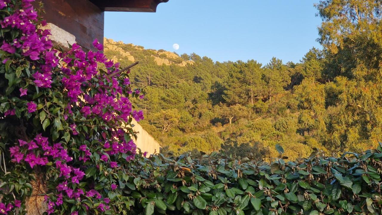 Rifugio Monte Pino Villa Telti Bagian luar foto
