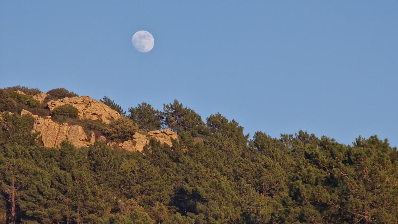 Rifugio Monte Pino Villa Telti Bagian luar foto