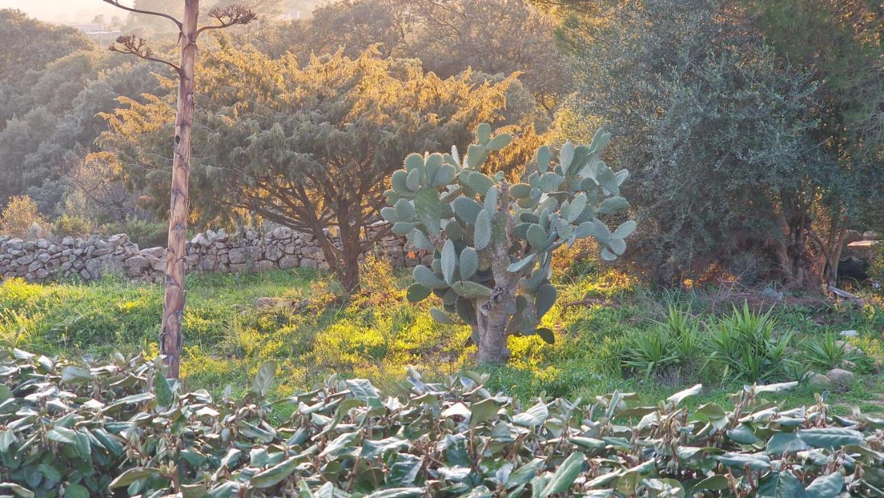 Rifugio Monte Pino Villa Telti Bagian luar foto