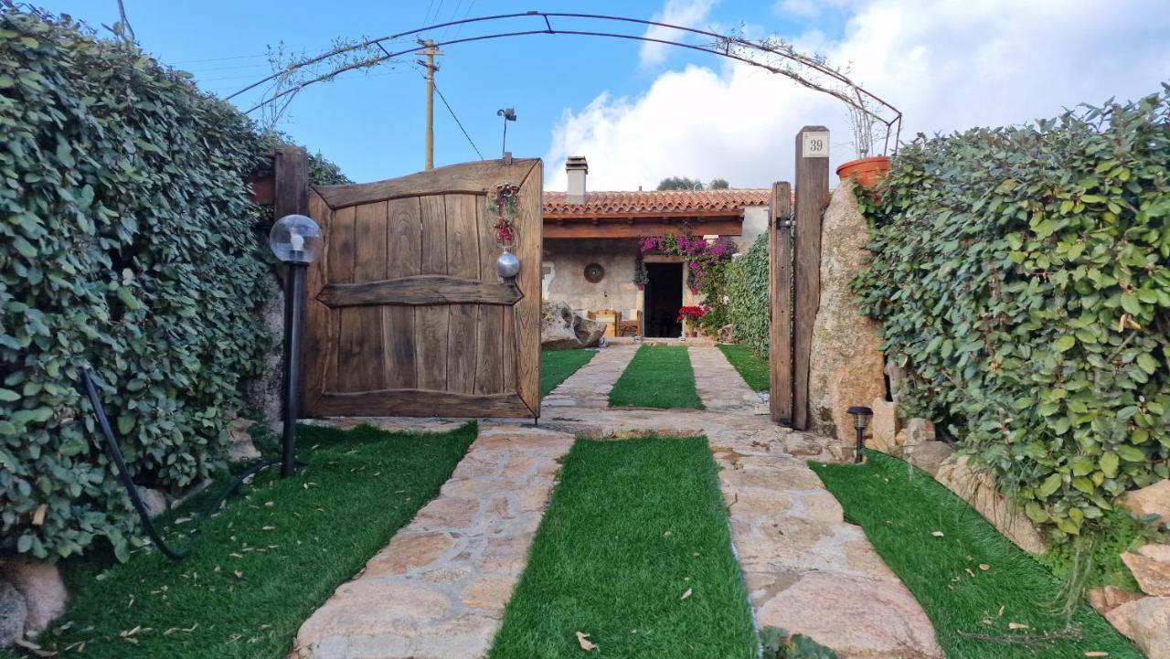 Rifugio Monte Pino Villa Telti Bagian luar foto