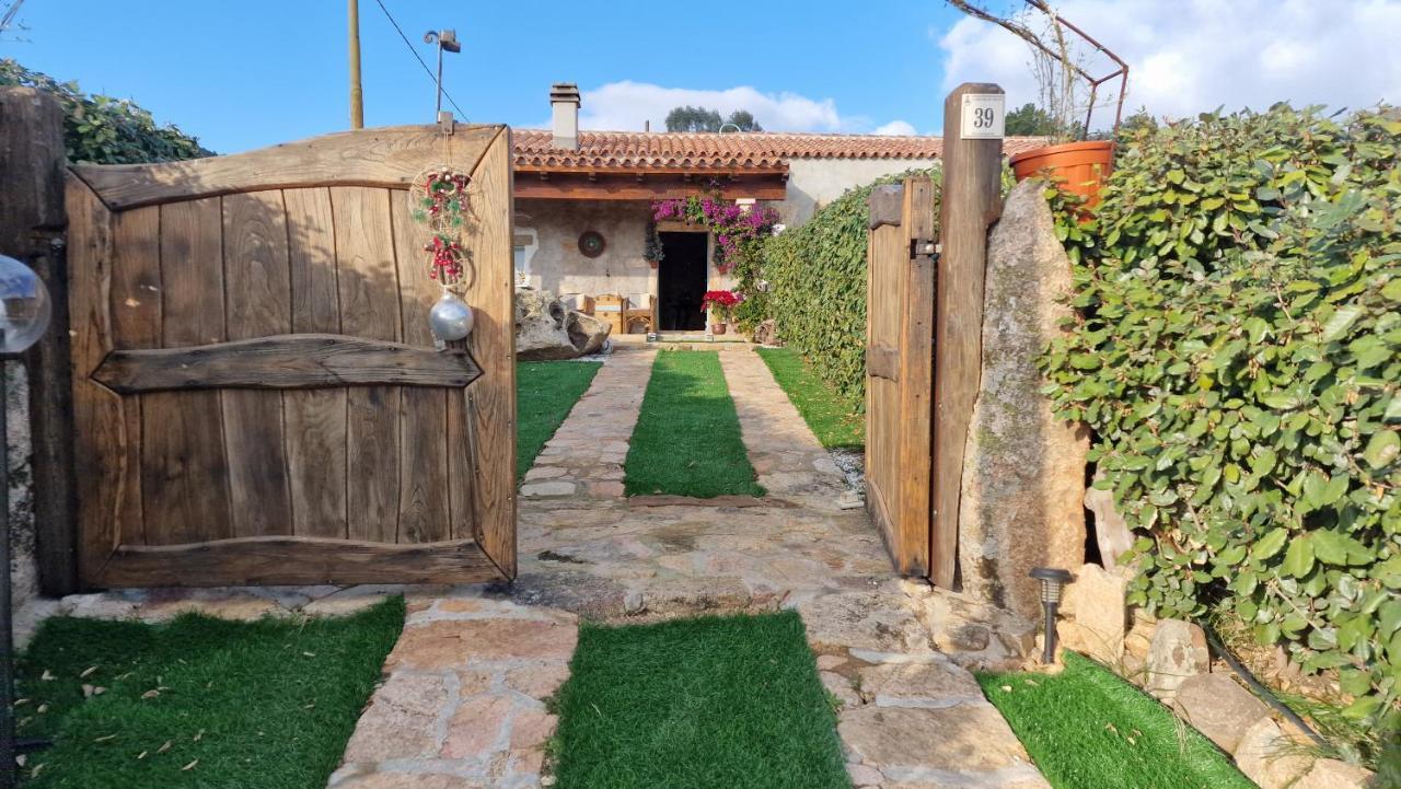 Rifugio Monte Pino Villa Telti Bagian luar foto