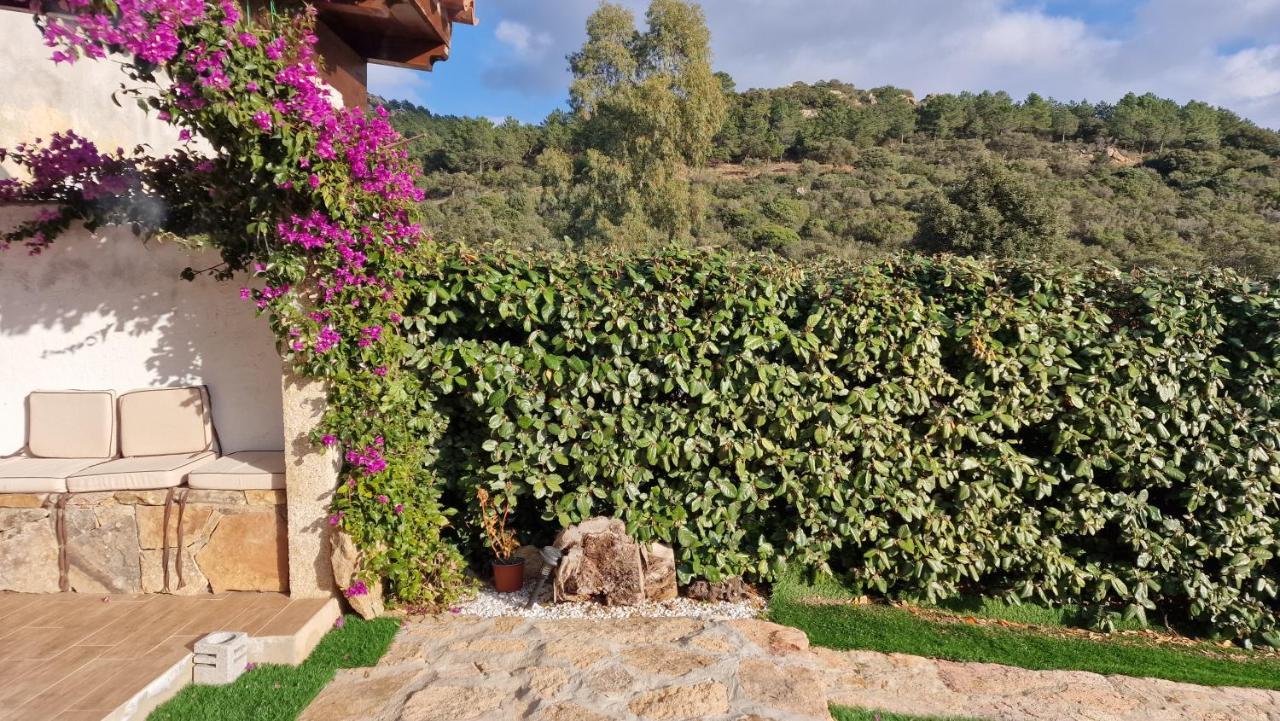 Rifugio Monte Pino Villa Telti Bagian luar foto